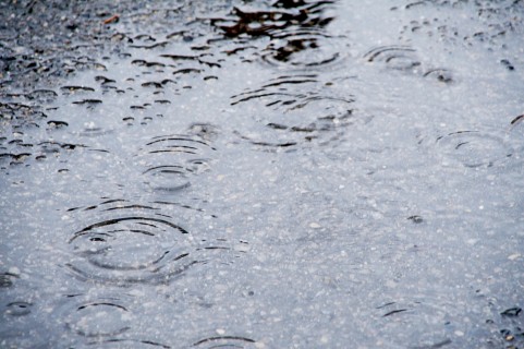雨水を有効活用するための雨水貯留施設の設置補助制度 – ハロ～いちのみや｜愛知県一宮市