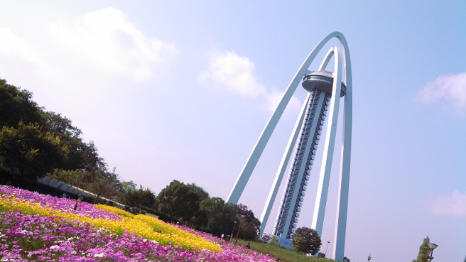 20151026タワーパークの花